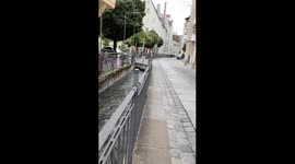 Bicycle hanging on canal