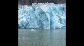210 feet tall Calving Glacier Captured on Camera
