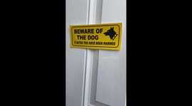 Dog pretending to be a vicious guard dog