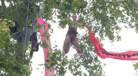 Extinction Rebellion activists camp in trees at terrifying height in Parliament Square