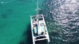 catamaran palma mallorca