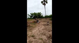 Farming In west Africa to reduce Global hunger