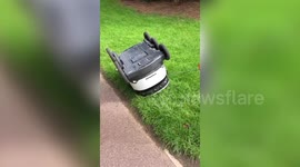 Popular delivery robot had to be rescued by young man after getting stuck