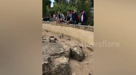 Meerkats fascinated by pet dog at zoo in the UK
