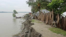 River erosion due to natural disasters : This Video: Pirojpur,Bangladesh