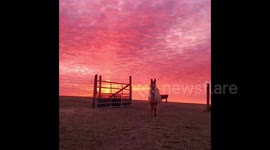 US: Spectacular Sunrise Stretches Across Sky