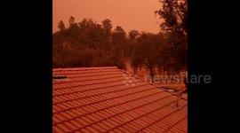 US: Creek Fire Turns Northern California Sky Red