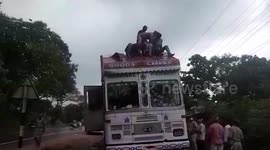 Marijuana weighing over 500 kg seized from truck in southern India