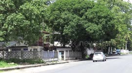 Monkeys invade house while family were away on holiday