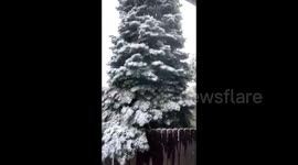 US: Early Snowfall In Colorado After Weekend Of Record-Breaking Heatwave 5