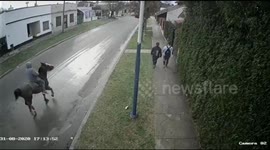 Thief robs on horseback 'Old West' style in the streets of Argentina