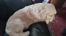 The day after a night on the town