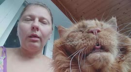 Woman hilariously copies her cat's facial expression