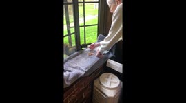 Hand feeding a squirrel