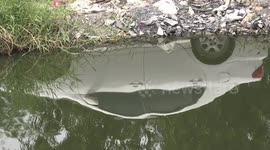 Reflections and ripples on a tranquil pond.