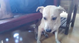 I hate my reflection