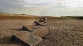 Artist creates giant image of seal and her pup using natural contours of an iconic beach
