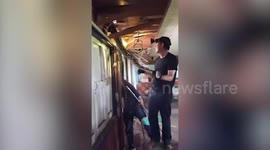 Thai rescuers smashed through ceiling to reach python hiding inside