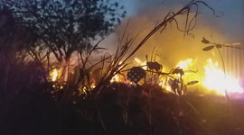 Newsflare Edit - Bush fire In Port Moresby, Papua New Guinea
