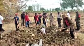 Anti-maskers forced to dig graves for COVID-19 victims in Indonesia