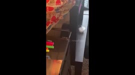 Teacher has hilarious encounter with lizard at home office in Houston