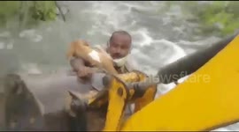 Full footage of dog rescued from flooding in central India