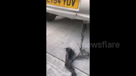 Disgusting! Woman pulls metres-long cot of 'hair' from car exhaust. But what is it really?