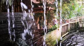 Trópusi állatkert Bécs