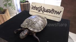 Taxidermy animals displayed at pet show in Bangkok, Thailand