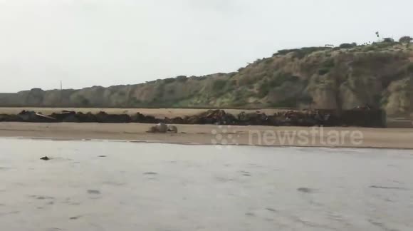 Enjoying In Gadani Beach In Summer