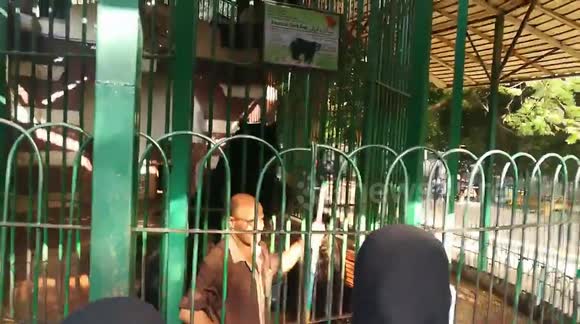 Boys Weren't Afraid Feeding Black Bears