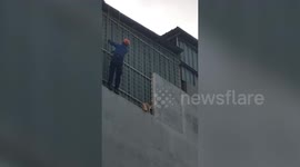 Stranded puppy rescued from fourth-floor narrow ledge of apartment block in Indonesia