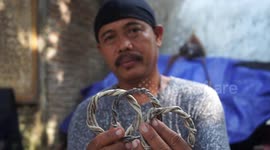 Controversial leatherworker makes handicrafts from monitor lizard skin