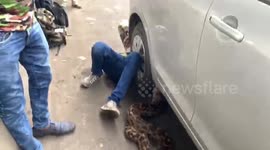 Huge 10-foot-long python removed from underneath vehicle in traffic on Indian highway
