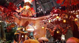 Bellagio Conservatory Las Vegas Fall Theme