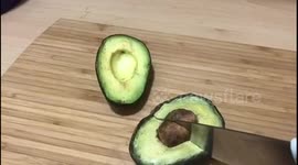 Captive Cakes - Avocado Cake