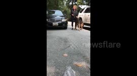 Dog trainer altercation in Pennsylvania