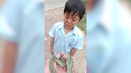 Boy Cries When Snake Friend Is Released