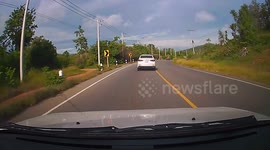 Motorist Leans From Window While Driving