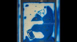 Dwayne Johnson  The Rock Artwork Video Inspired By The Topographical Maps