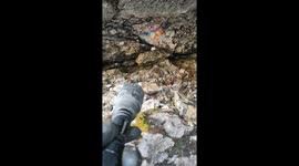 Cave full of sodalite found on the high mountains spot