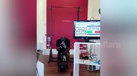 Super-fit personal trainer smashes world record for most chin-ups in 24 hours in memory of late brother - managing a whopping 5,340