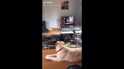 temp