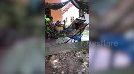 Hammock swinging back and forth hits dosey dog on the head