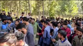 Crowds gather to see rogue bear rescued in northern India