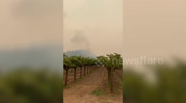 Glass Fire Smoke Rises Over Napa County Vineyard