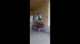 Elephant breaks into train station and roams on tracks for an hour in central India