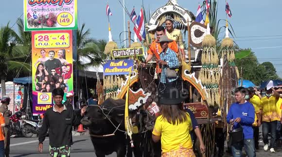 Traditional buffalo racing festival underway in Chonburi,Thailand