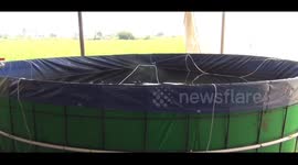 Indian farmer trades cropland for fishery in strange land development