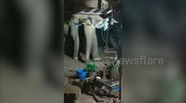 Family terrified as wild elephant rampages through garden